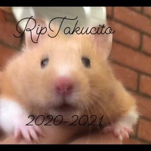 Meet your Posher, Ulises